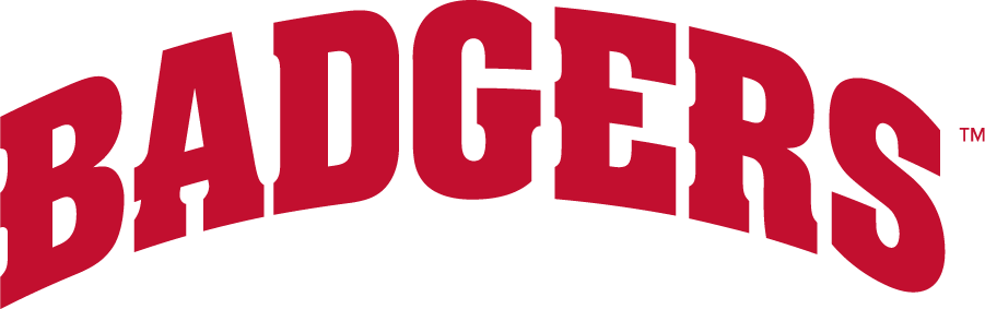 Wisconsin Badgers 2017-Pres Wordmark Logo v2 t shirts iron on transfers